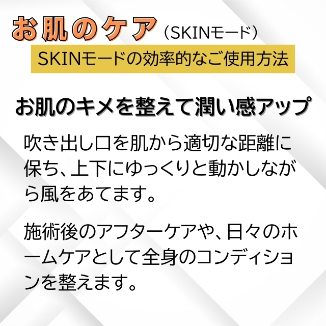 ハニエル エレクトロンインパクト ダブルフィルター ドライヤー