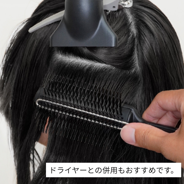 アイビル デュアルホールドブラシ DB-25B01