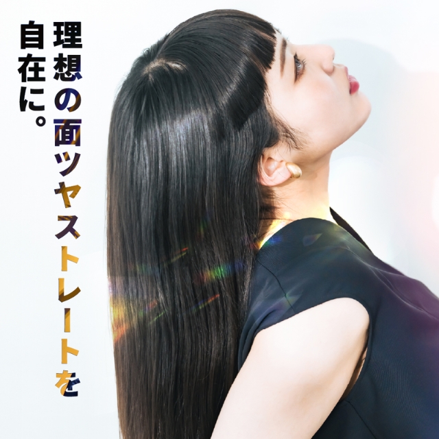 アイビル デュアルホールドブラシ DB-25B01