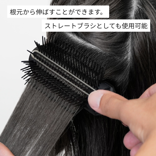 アイビル デュアルホールドブラシ DB-25B01