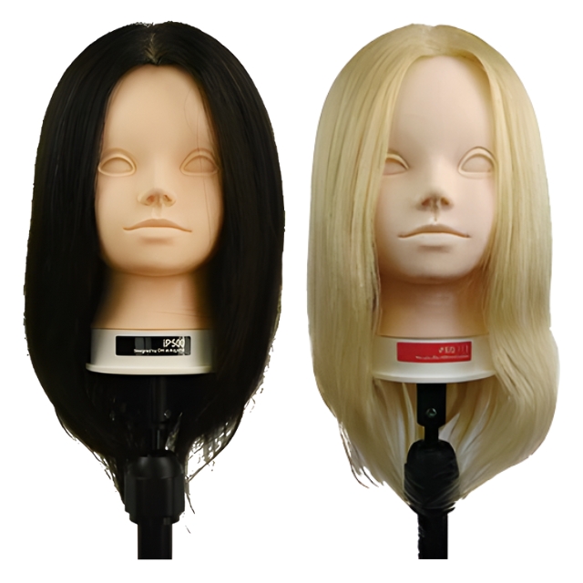 プロステージ iP500