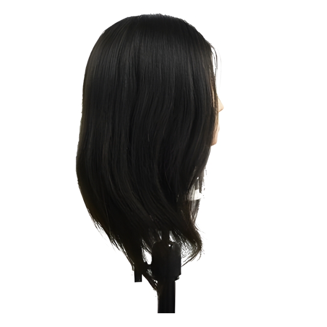 プロステージ iP500