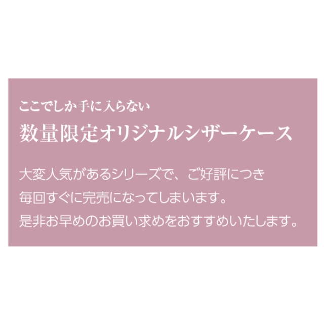 DEEDS シエーナ アイボリーホワイト シルバー金具 シボ素材