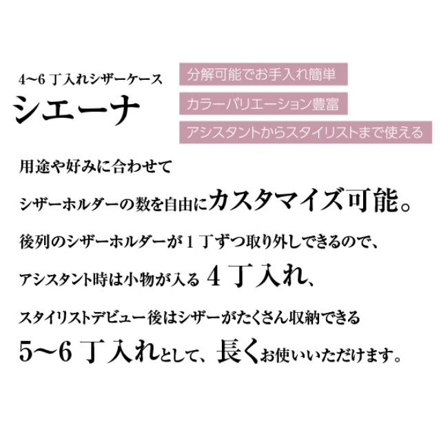 DEEDS シエーナ ブルーグレージュアイボリーMIX シボ素材