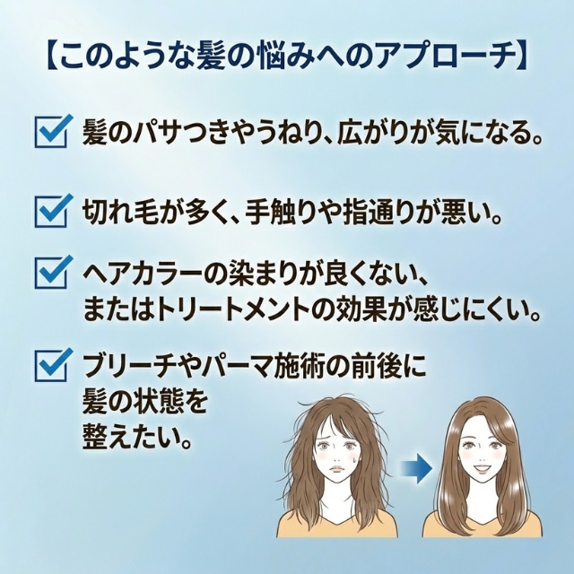 エフェクトブリーチ アシッドキュレートシャンプー ver3