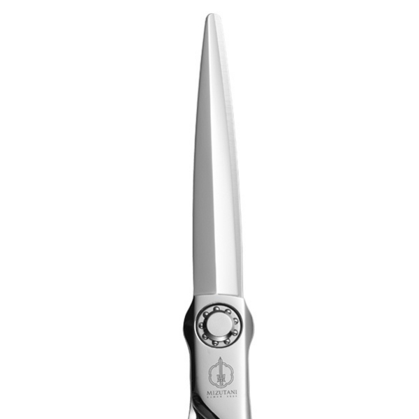 ミズタニシザー SOLID SL-02**