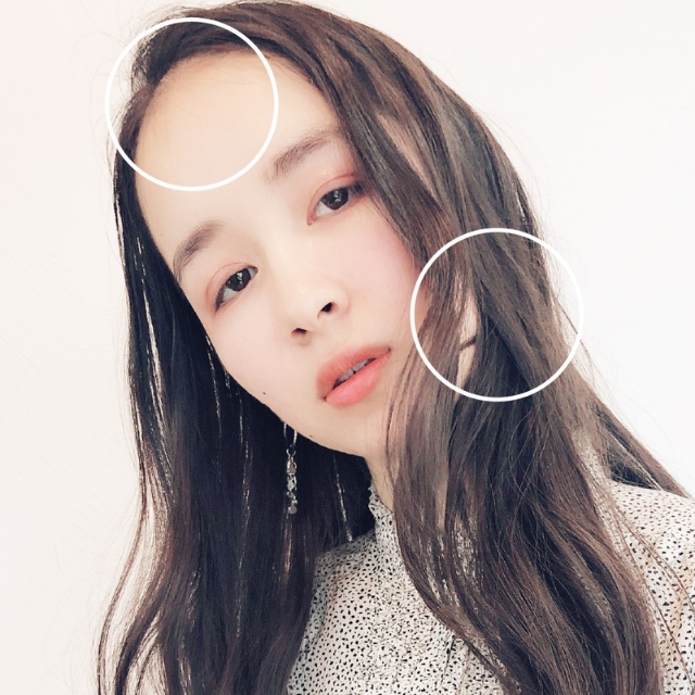 アイビル サーモローラーSE