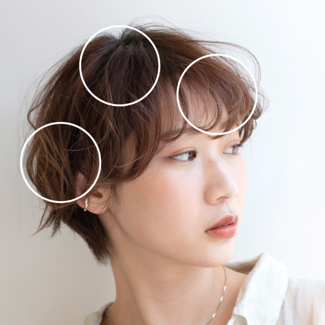 アイビル サーモローラーSE