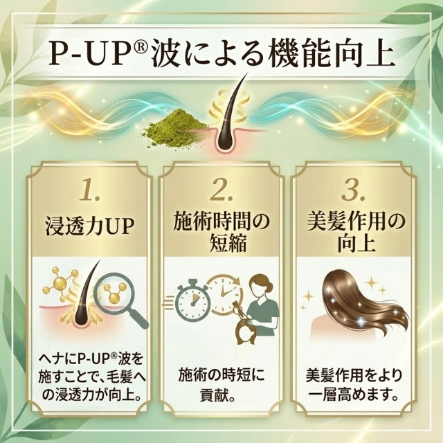 P-UP(ピーアップ) ヘナ AAA 100g