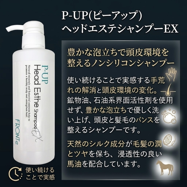 P-UP(ピーアップ) ヘッドエステシャンプーEX