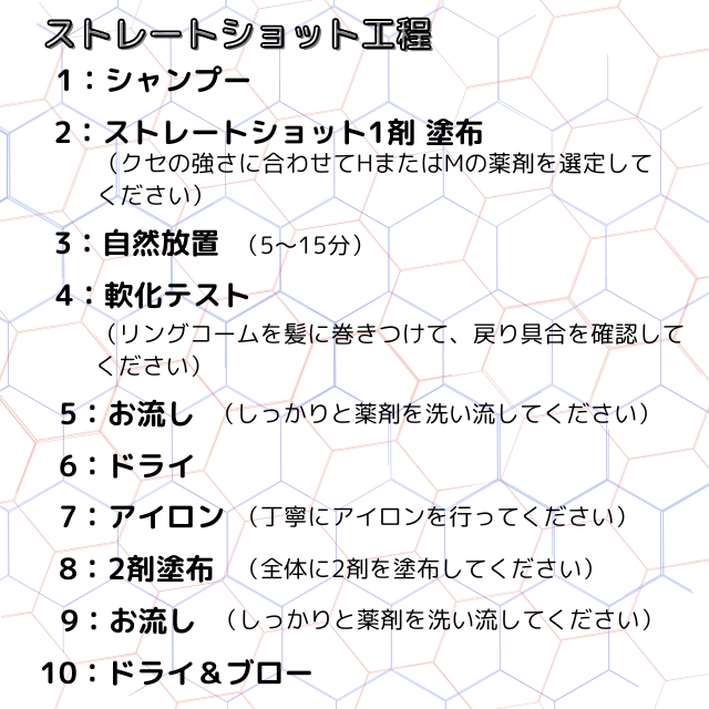 STS ストレートショット 2剤 800g