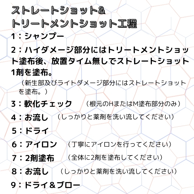 STS ストレートショット 2剤 800g