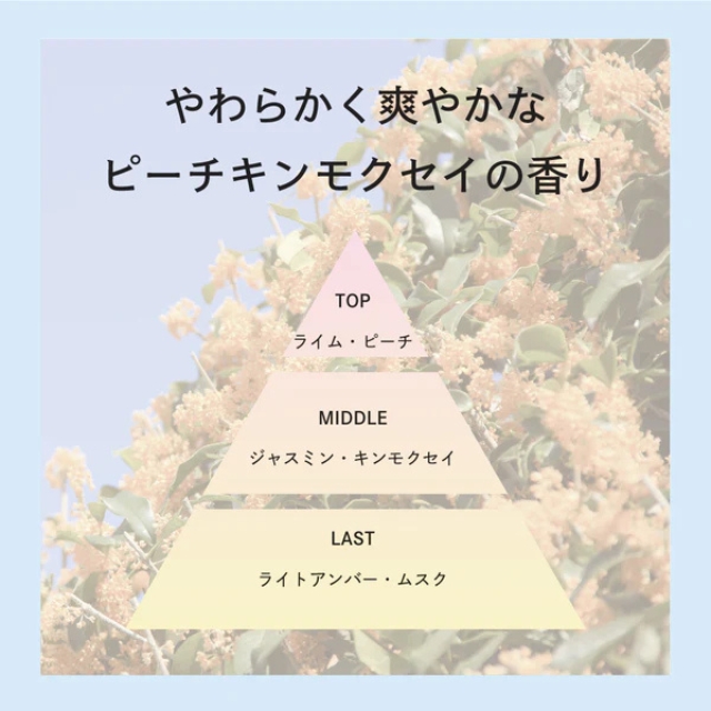 ムコタ プロミルトリートメント 200g