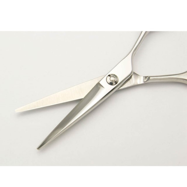 DEDDS ベーシックミニシザー 4.5