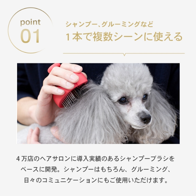 SHS ペット用ブラシ パルムアニモ