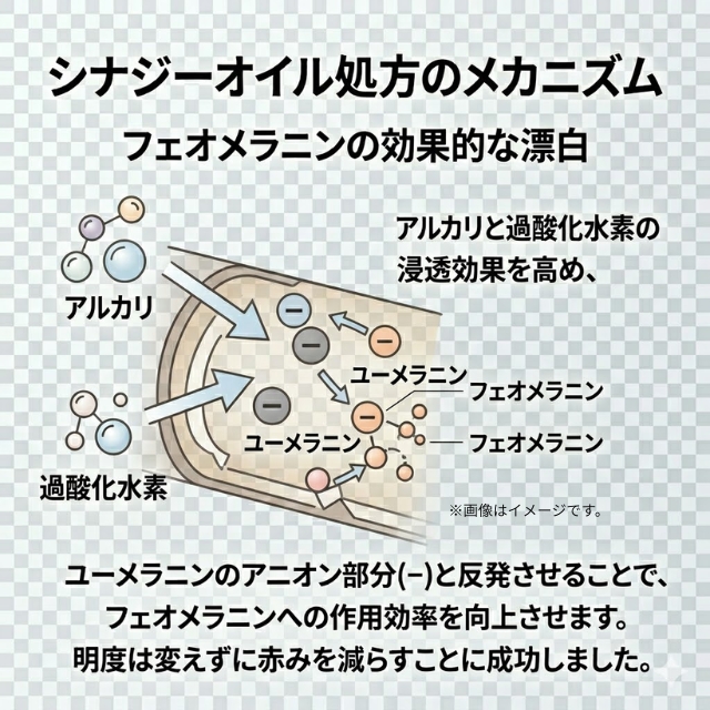 エドル