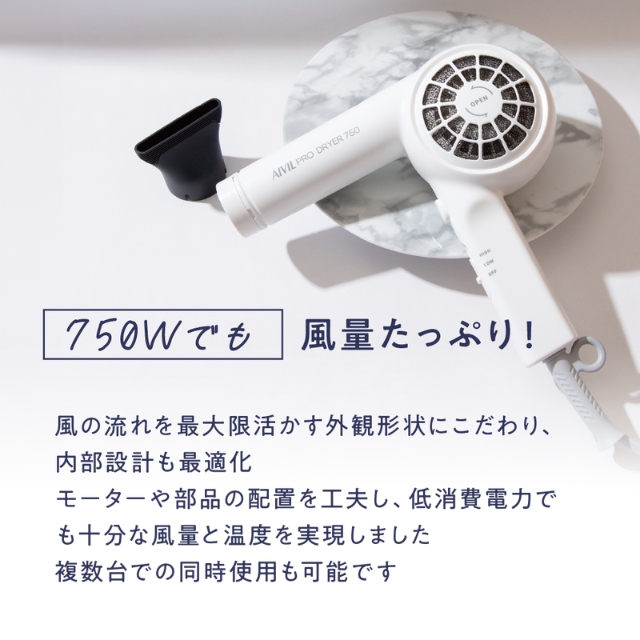 アイビル プロドライヤー 750