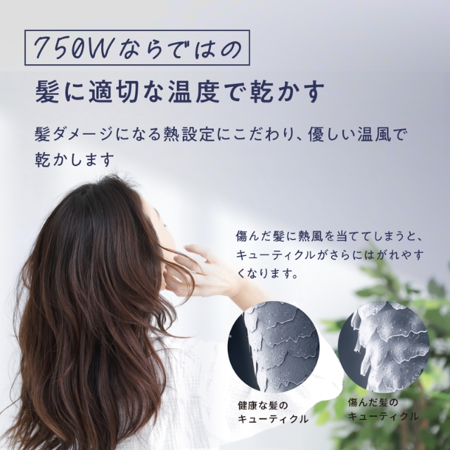 アイビル プロドライヤー 750