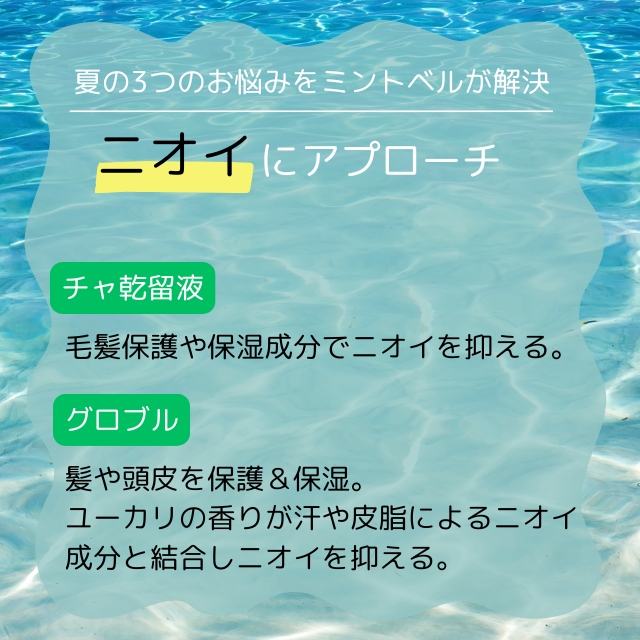サンコール ミントベル マリンブルーシャンプー