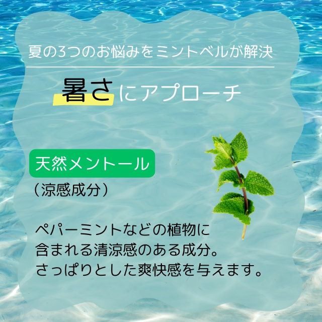サンコール ミントベル マリンブルーシャンプー