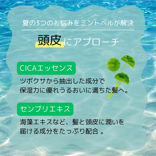 サンコール ミントベル マリンブルーシャンプー