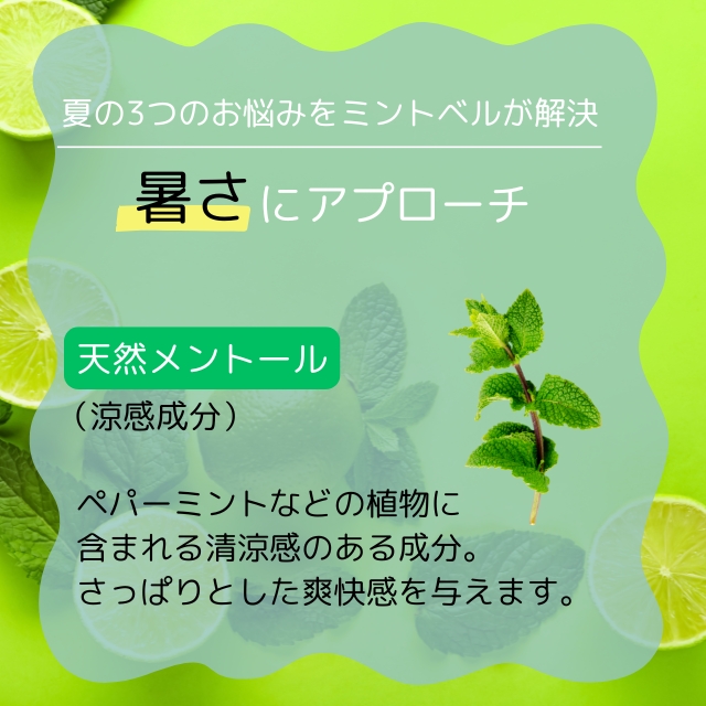 サンコール ミントベル フレッシュグリーンシャンプー