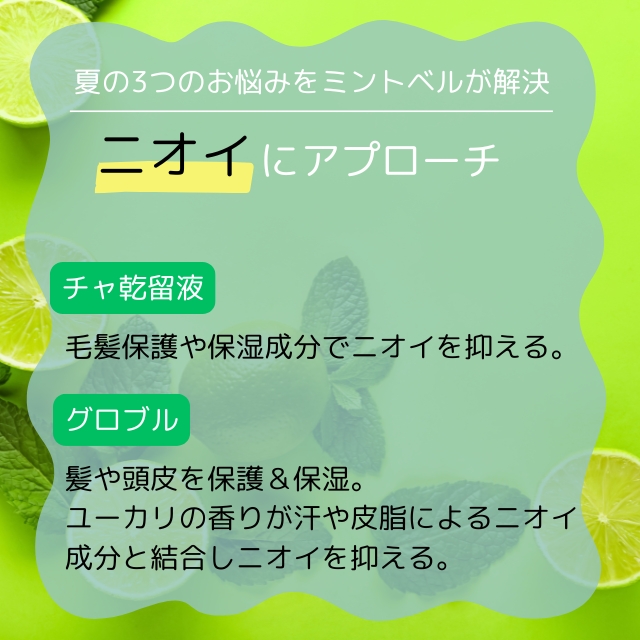 サンコール ミントベル フレッシュグリーンシャンプー