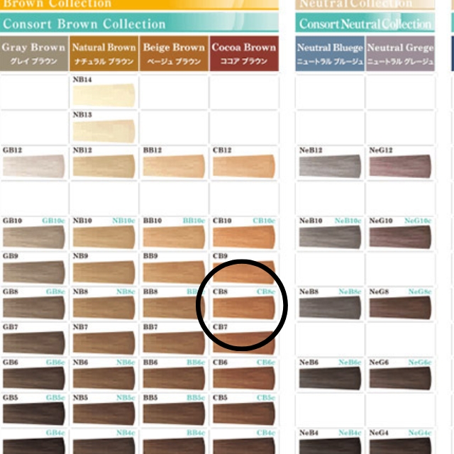 【特価】タマリス クリエイティブ フェリエ ネオ CB8 80g