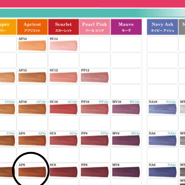 【特価】タマリス クリエイティブ フェリエ ネオ AP6 80g