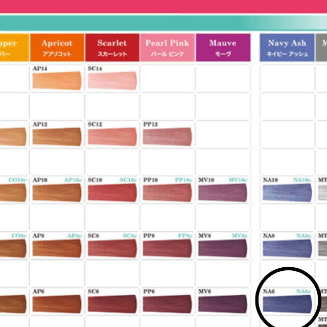 【特価】タマリス クリエイティブ フェリエ ネオ NA6 80g