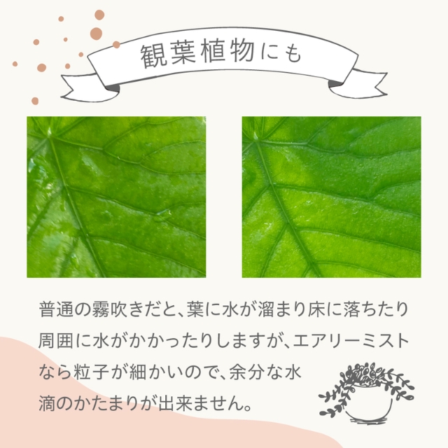 アイビル エアリーミスト ミニミニ