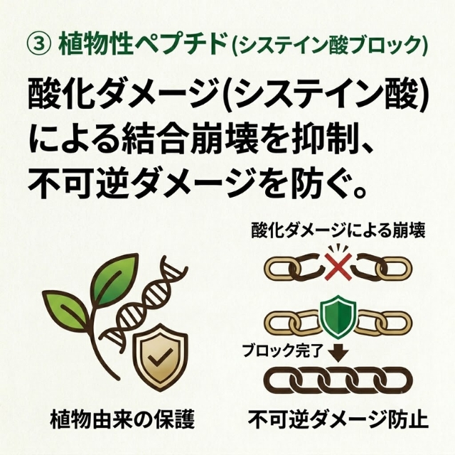 ケラフェクト VKブースターセラムミスト