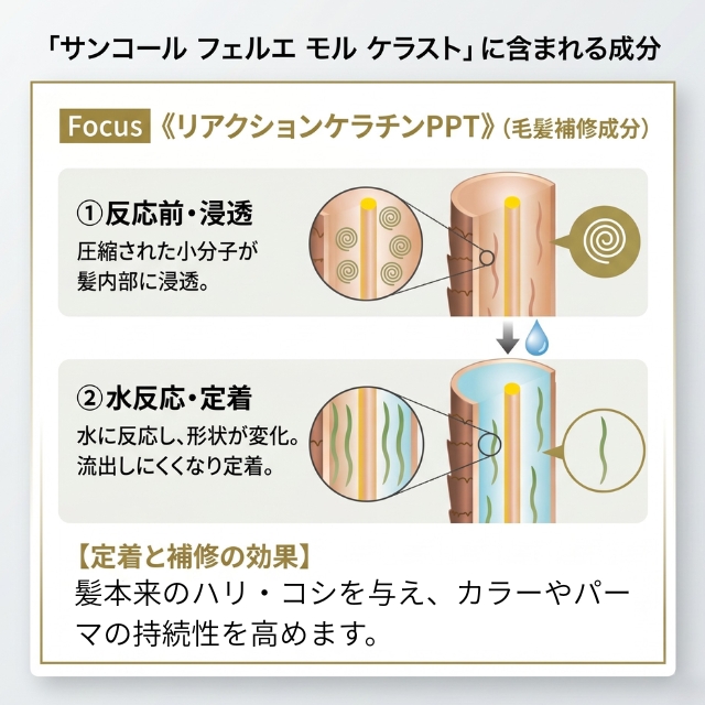 サンコール フェルエ モル ケラスト
