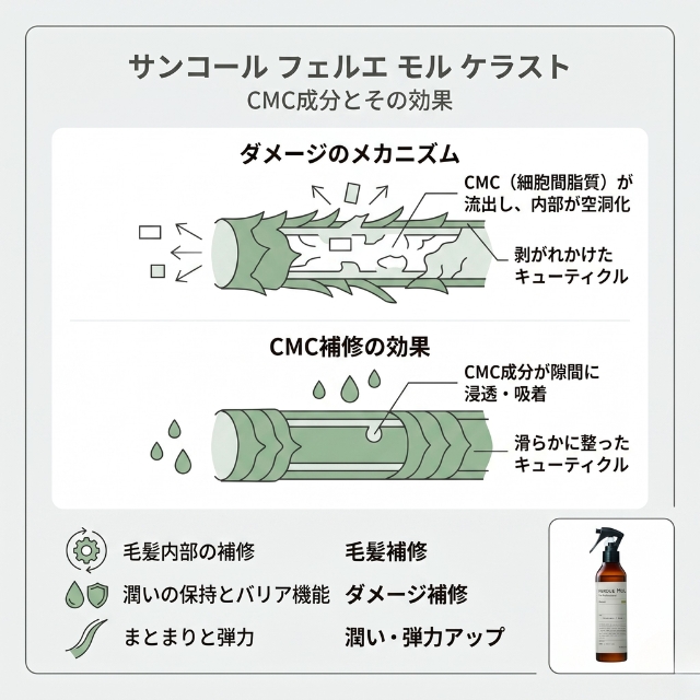 サンコール フェルエ モル ケラスト