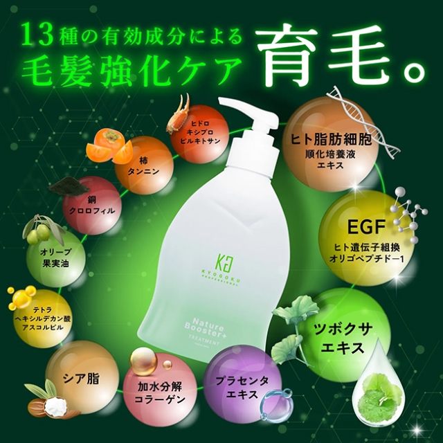 KYOGOKU ネイチャーブースタートリートメント 320ml**