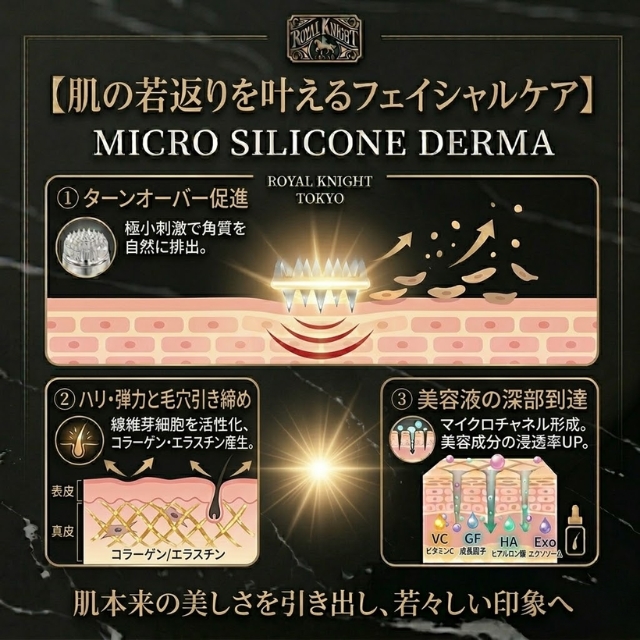 MSD100 マイクロシリコンダーマ