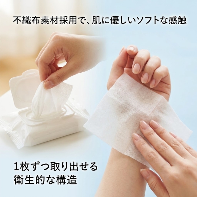 除菌ウェットティッシュ 10枚入
