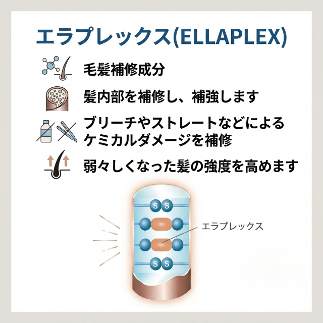 サンコール フェルエ モル プロトプラス