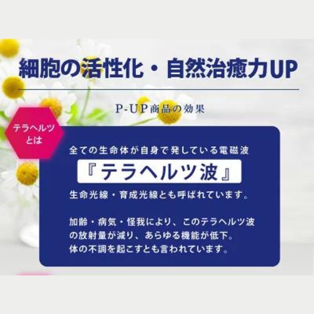 P-UP リカバリー腹巻**