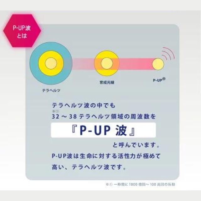 P-UP リカバリー腹巻**