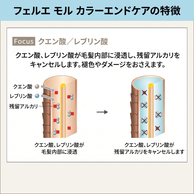 サンコール フェルエ モル カラーエンドケア