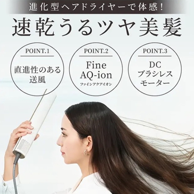 ビサラ スティックヘアドライヤー**