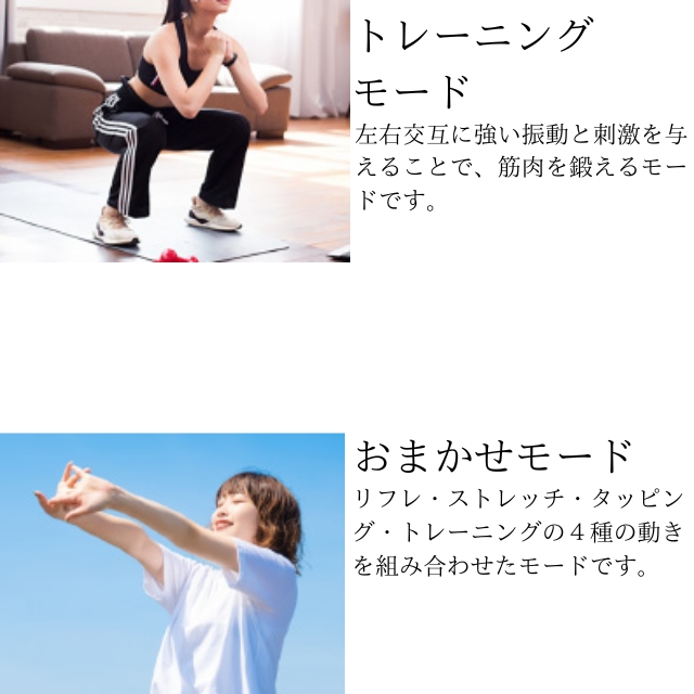 エビデン スマートネック極 HL-SK53**