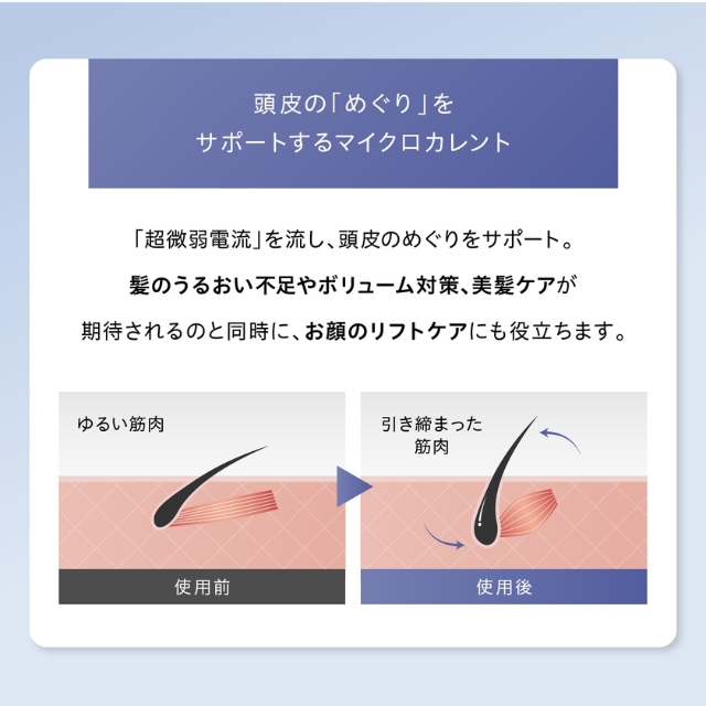 WAVEWAVE EMS Brush Air mini（ウェイブウェイブEMSブラシエアーミニ）