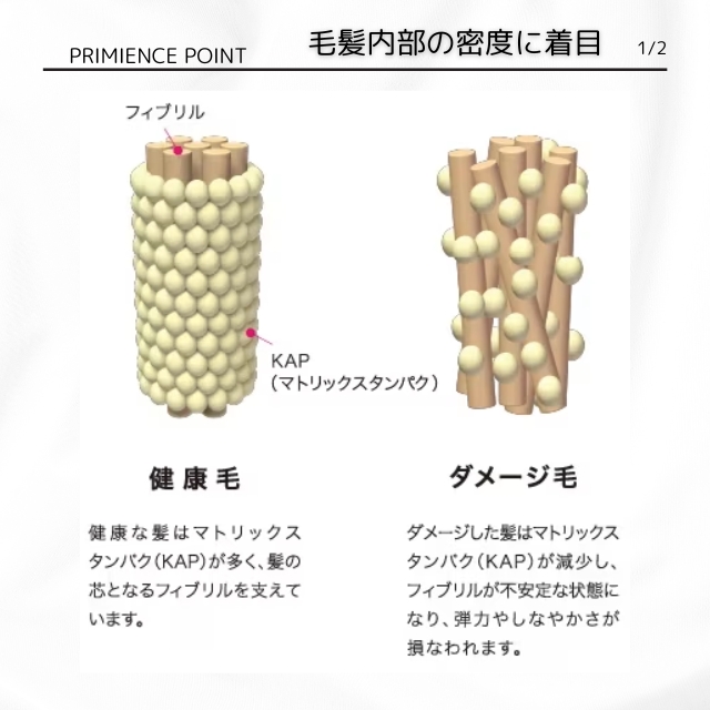 PRIMIENCE プリミエンス COLOR CREAM 1剤 80g