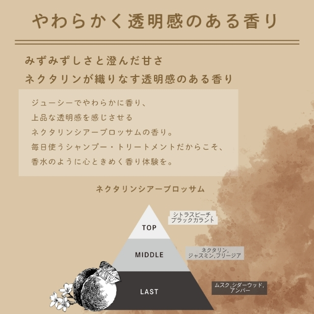 ディープレイヤー トリートメント ExV