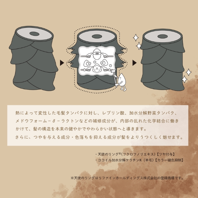 ディープレイヤー トリートメント ExV
