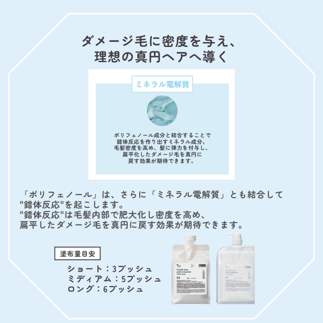 プロミル カルテトリートメント 03 1000g