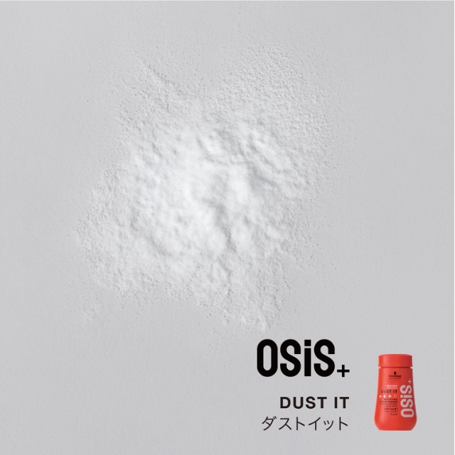 OSIS(オージス) ダストイット 10g