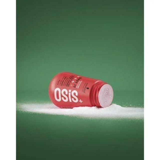 OSIS(オージス) ダストイット 10g